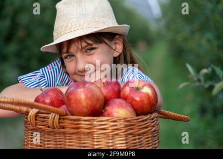 Lächelndes blauäugige Mädchen in einem Strohhut mit EINEM Korb mit roten Äpfeln. Kleines Mädchen mit schönen Augen in einem Obstgarten. Konzept Für Gesunde Ernährung. Stockfoto