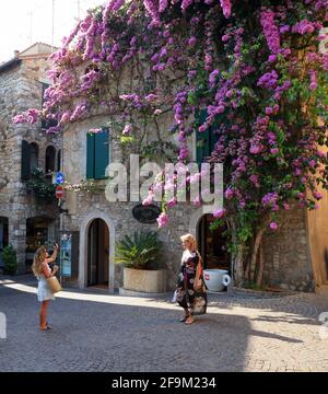 Sirmione, Gardasee. Lila Bougainvillea Blumen im alten Stadthaus. Lago di Garda, Gardasee, Italien Stockfoto