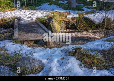 Sehr kleine hölzerne flache Brücke über Waldbach viel Wasser fließt darunter. Schmelzender Schnee im Wald in der Nähe des fliessenden Wassers. Stockfoto