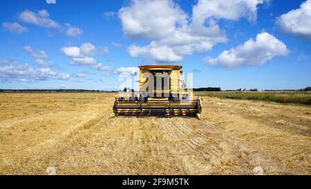 Kombinieren Sie Harvester auf den Feldern der lokalen Ontario Bauern bereit, die Ernte zu sammeln. Stockfoto