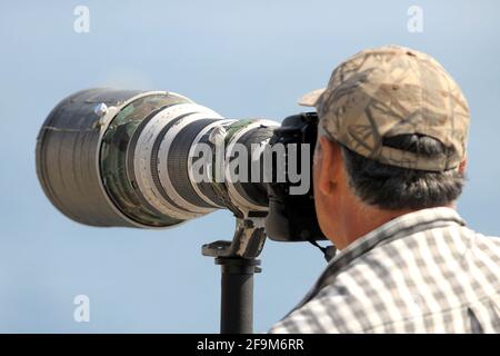 Mai 2011. Paparazzi, Fotografen auf den Felsen beim Hotel du Cap Eden Roc, Antibes, Frankreich Stockfoto