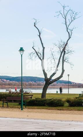 Uferpromenade, flacher See, Balaton. Ungarn, Europa Stockfoto