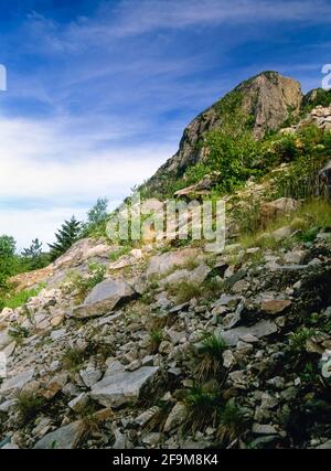 Ein Abschnitt der Eagle Cliff in der Frankenspitze in den New Hampshire White Mountains. Eagle Cliff wurde 1858 vom Reverend Thomas Hill nach seinem Namen f Stockfoto