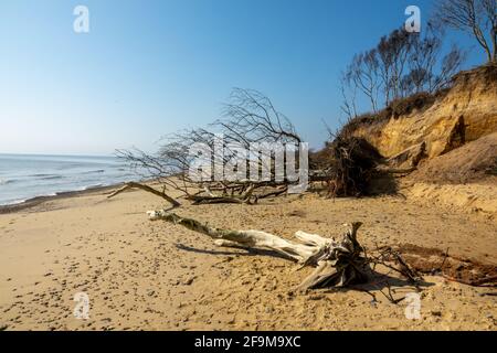 Covehithe Strand Stockfoto