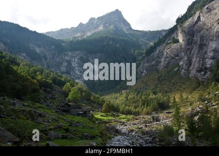 Calnegia, abgelegenes Bergdorf mit traditionellen Steinhäusern im Tessin, Schweiz Stockfoto