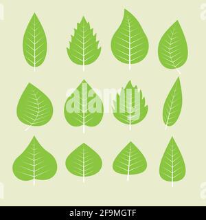 Symbolsatz für Frühlingsblätter. Verschiedene grüne Blätter Sammlung Umriss Vektor Illustration. Blätter mit flachen Design-Stil Stock Vektor