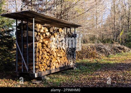 Überdachter Holzstapel mit Brennholz für den Winter im sonnigen Herbstwald, im Hintergrund ist dünneres gestapeltes Holz, tagsüber, ohne Menschen Stockfoto