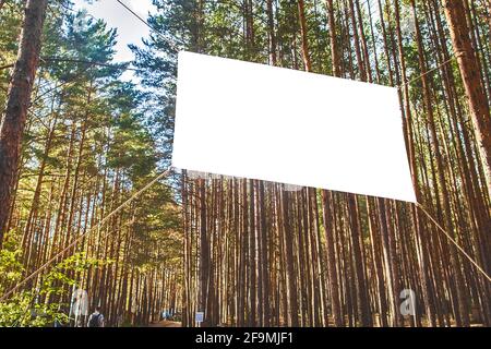 In einem Waldlager können Sie weiße, leere Werbetafeln auf dem Hintergrund von Tannenbäumen nachmachen. Stockfoto