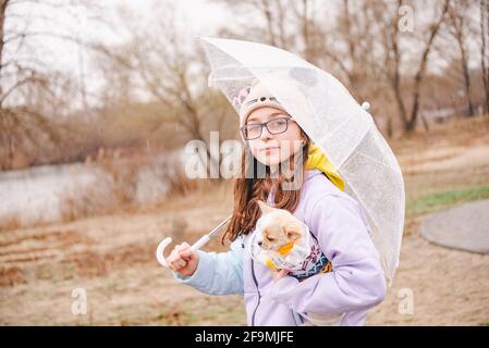 Hübsches Mädchen mit chihuahua Hund auf die Natur. Ein Teenager-Mädchen und ein gekleideter Hund bei regnerischem Wetter unter einem Regenschirm. Welpenhund Stockfoto