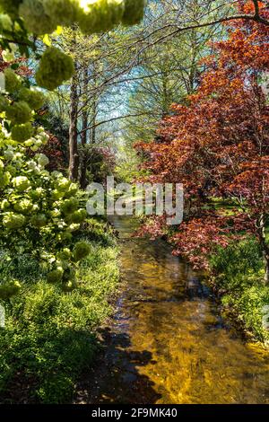 Kleiner Fluss mitten in einem Wald Stockfoto