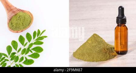 Moringa oleifera Heilpflanze mit hohem Gehalt an Vitaminen und Mineralien Stockfoto