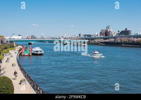 Tokio, Japan - Sumida (Sumidagawa) Blick von der Azuma-Brücke (Azumabashi) in Asakusa, Taito, Tokio, Japan. Stockfoto