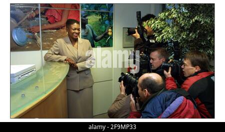 Baroness Amos kommt in ihr neues Büro, um ihre neue Position als Ministerin für internationale Entwicklung zu übernehmen. Anstelle von Clare Short, die heute zurückgetreten ist. PIC David Sandison 12/5/2003 Stockfoto