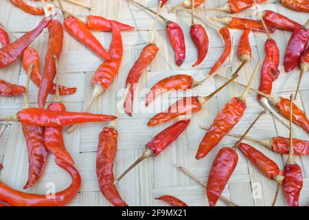 Ganze getrocknete rote Chili oder Paprika Draufsicht auf natürlichen Hintergrund mit Kopierraum. Stockfoto