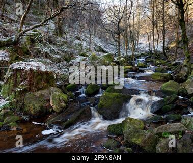 Naturschutzgebiet Wyming Brook, Nationalpark Peak District, Sheffield, South Yorkshire, England, Großbritannien Stockfoto