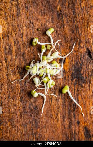 Gekeimt grüne Mungbohnen. Mungsprossen auf Holztisch. Stockfoto