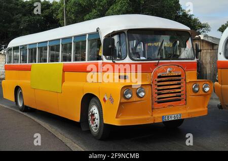 Traditionelle gelbe Busse Stadtverkehr auf Valletta Straße, Malta Stockfoto