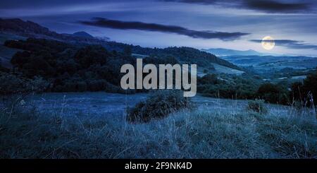 Bergige ländliche Landschaft bei Nacht. Schöne Landschaft mit Wäldern, Hügeln und Wiesen im Vollmondlicht. Kamm mit hohen Gipfel in der Ferne. vill Stockfoto