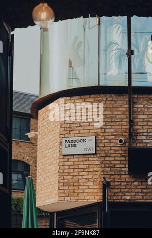 London, Großbritannien - 12. August 2020: Straßenschild Paddock Lane im Camden Market. Der Camden Market, der 16 mit 1974 Verkaufsständen begann, ist einer der belebtesten Stockfoto