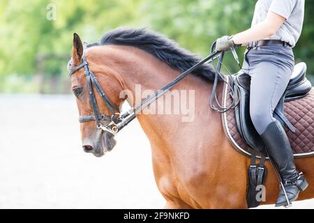 Junges Mädchen Reiten Pferd auf Reittraining Stockfoto