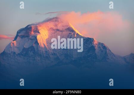 Am Morgen Panoramablick auf den Mount Dhaulagiri vom Aussichtspunkt Poon Hill, Nepal Himalaya Berge Stockfoto