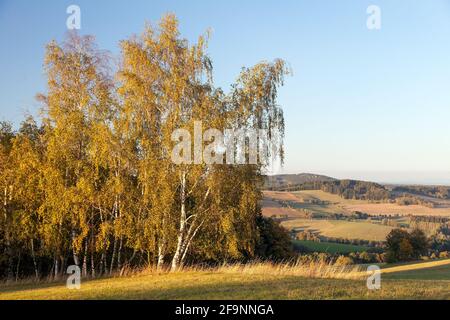 Herbstpanorama aus Böhmischen und mährischen Hochland, Tschechische Republik Stockfoto