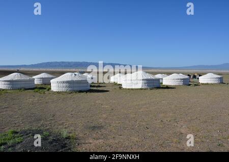 GER Camp im Bayanzag / Flaming Cliffs Gebiet der Gobi Wüste in der Ömnögovi Provinz in der Mongolei, wo wichtige Fossilfunde gemacht wurden. Stockfoto