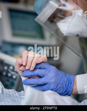 Berlin, Deutschland. April 2021. Die Intensivkrankenschwester Rüdiger Piske bezieht Blut von einem an Covid-19 erkrankten Patienten auf der Intensivstation des Bethel-Krankenhauses Berlin. Am 21.04.2021 diskutiert der Bundestag weiterhin über das erweiterte Infektionsschutzgesetz für einheitliche bundesweite Regelungen zur Eindämmung der Corona-Pandemie, um eine Überlastung des Gesundheitssystems zu verhindern. Quelle: Kay Nietfeld/dpa/Alamy Live News Stockfoto