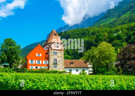 Blick auf das berühmte rote Haus in liechtenstein. Stockfoto