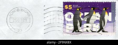 GOMEL, WEISSRUSSLAND, 20. APRIL 2021, Briefmarke gedruckt in HONGKONG, China zeigt das Bild der Königspinguine, um 2020. Stockfoto