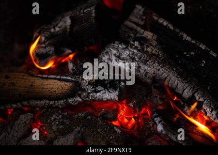 Holzstämme brennen im Kamin Stockfoto