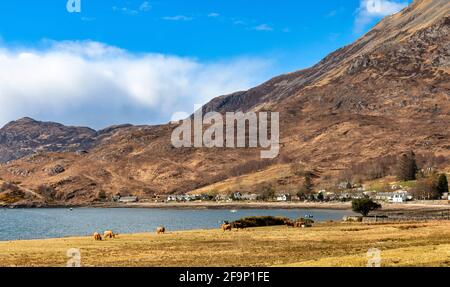 GLENELG HIGHLANDS SCHOTTLAND BLICK AUF ARNISDALE HÄUSER UND DORF LOCH HOURN Stockfoto