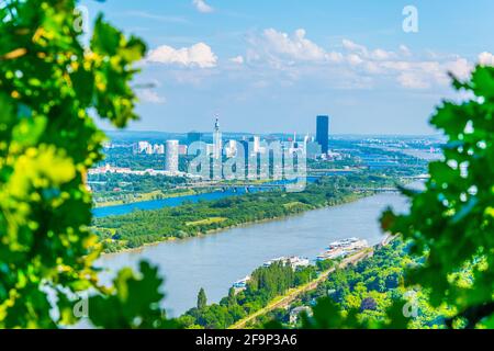 Luftaufnahme des internationalen Zentrums von wien durch üppige Vegetation kahlenberg Hügel in wien Stockfoto