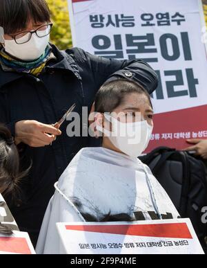 Seoul, Südkorea. April 2021. Südkoreanische Universitätsstudenten lassen sich während eines Protestes zur Verurteilung einer Entscheidung der japanischen Regierung vor einem Gebäude, in dem sich die japanische Botschaft in Seoul, Südkorea, befindet, am 20. April 2021 den Kopf rasieren. (Foto von Lee Young-ho/Sipa USA) Quelle: SIPA USA/Alamy Live News Stockfoto