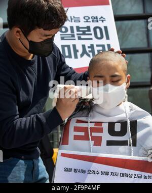 Seoul, Südkorea. April 2021. Südkoreanische Universitätsstudenten lassen sich während eines Protestes zur Verurteilung einer Entscheidung der japanischen Regierung vor einem Gebäude, in dem sich die japanische Botschaft in Seoul, Südkorea, befindet, am 20. April 2021 den Kopf rasieren. (Foto von Lee Young-ho/Sipa USA) Quelle: SIPA USA/Alamy Live News Stockfoto