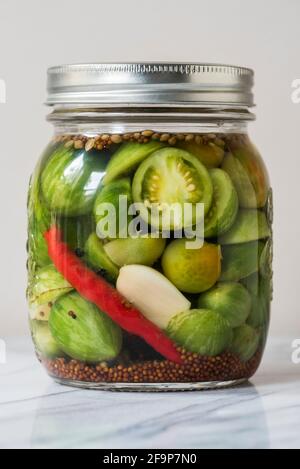 Glas fermentierter grüner Tomaten mit Korriander, Knoblauch und scharfem Pfeffer Stockfoto