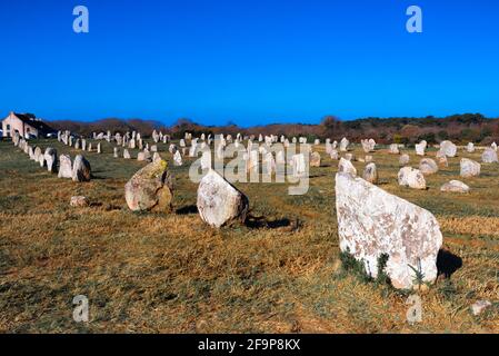 Stehende Steine in der Nähe von Carnac Stockfoto