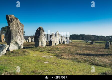 Kermario Menhir Ausrichtung in der Bretagne Stockfoto