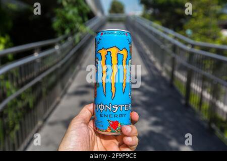 Eine Hand, die das schöne Design eines Monster Energy Mango-Lokalgetränks hält. Stockfoto