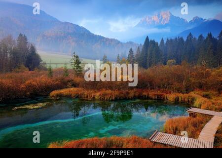 Naturschutzgebiet des Sees Zelenci, Kranjska Gora, Slowenien. Neblige Triglav Alpen mit Wald, Reisen in der Natur. Schöner Sonnenaufgang mit blauem Himmel, grüner Natur Stockfoto