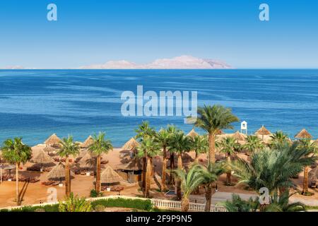 Luftaufnahme von Palmen am Sonnenstrand in tropischem Resort Stockfoto