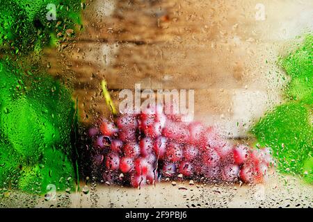 Trauben hängen auf Holzhintergrund hinter nassem Glas In Regentropfen Stockfoto