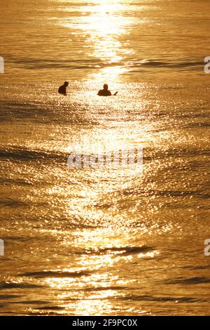 Zwei Surfer warten auf Wellen auf einem goldenen Meer Stockfoto