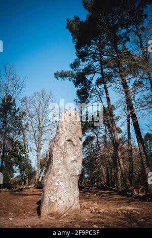 Menhir nannte den Riesen von Manio in der Nähe von Carnac Stockfoto