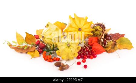 Herbstdekoration mit trockenen Blättern, Kürbissen und mehr, isoliert auf Weiß Stockfoto