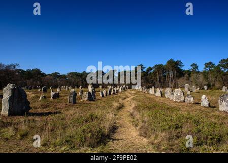 Kerlescan-Menhir-Ausrichtung bei Carnac Stockfoto