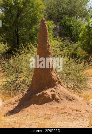 Bush-Landschaft mit einem großen Termitenhügel, Namibia Stockfoto