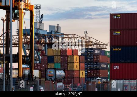 14.07.2019, Belfast, Nordirland, Vereinigtes Königreich - Hafen von Belfast, Containerterminal, Victoria Terminal 3. 00A190714D798CAROEX.JPG [MODELL RELEA Stockfoto