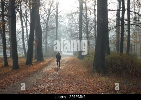 17.11.2018, Neuhardenberg, Brandenburg, Deutschland - Frau beim Spaziergang im Schlosspark. 00S181117D440CAROEX.JPG [MODEL RELEASE: JA, PROPERTY RELEASE: N Stockfoto