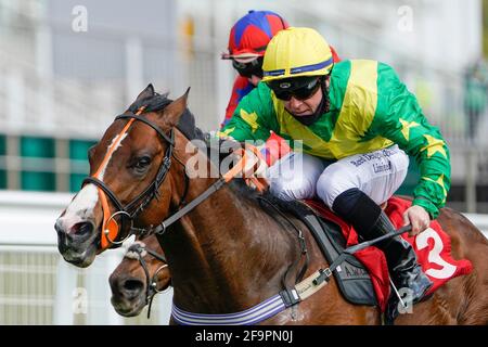 Ray Dawson reitet Recon Mission, die Epsom Downs zu gewinnen heißt Back Owners Handicap auf der Epsom Downs Racecourse in Surrey willkommen. Bilddatum: Dienstag, 20. April 2020. Stockfoto